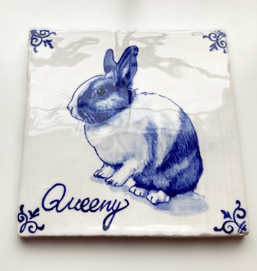Konijntje Queeny