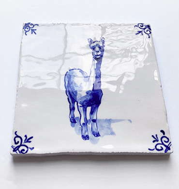 Signori: witte alpaca staand