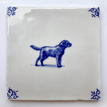 Labrador